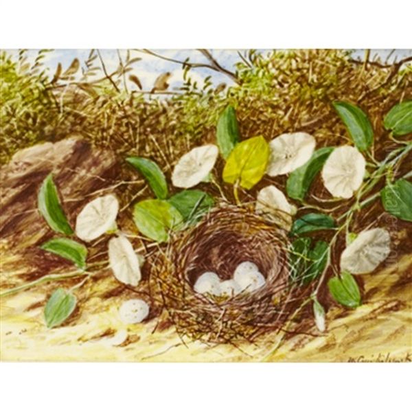 Bird's Nest With Flowers Oil Painting by William Cruickshank