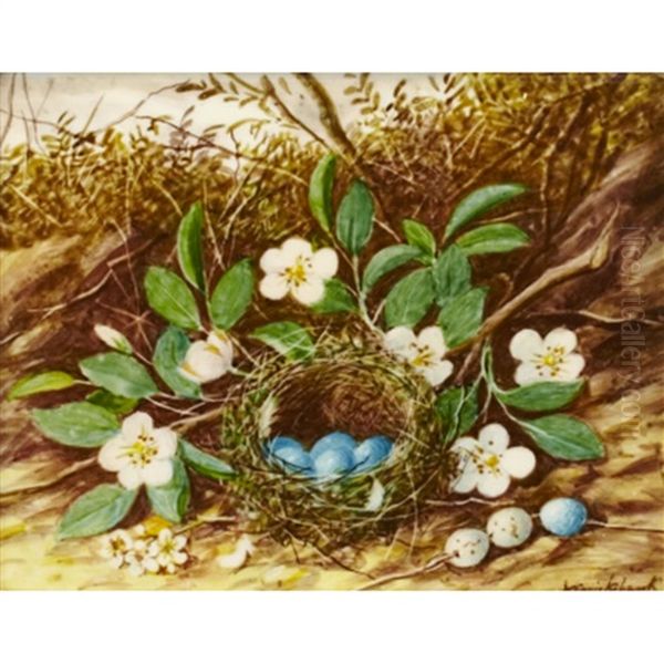 Bird's Nest With Flowers Oil Painting by William Cruickshank