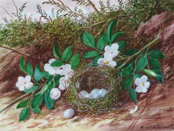 Bird's Nest With Flowers Oil Painting by William Cruickshank