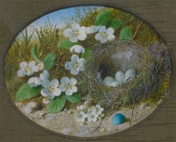 A Pair Of Still Lifes: One Of A Bird's Nest Surrounded By White Flowers, A Blue Egg In The Foreground; One Of A Dead Bird Lying Beside A Bird's Nest Surrounded By White Flowers Oil Painting by William Cruickshank