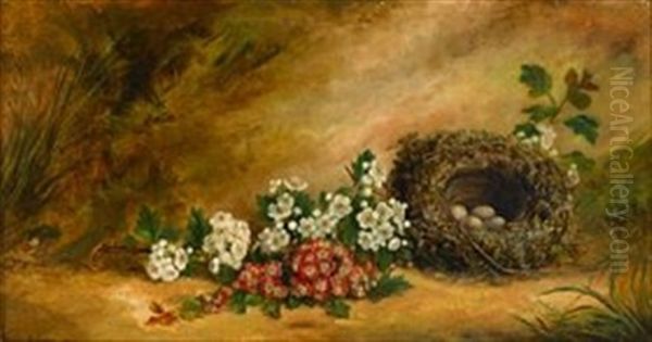 Still Life Of Dogwood And Bird's Nest Oil Painting by George Cruikshank