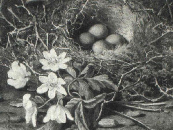 Still Life Of Primulas And A Bird's Nest Oil Painting by George Cruikshank