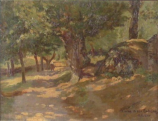 A Walk Through A Sunlit Woods Oil Painting by Maurice Galbraith Cullen