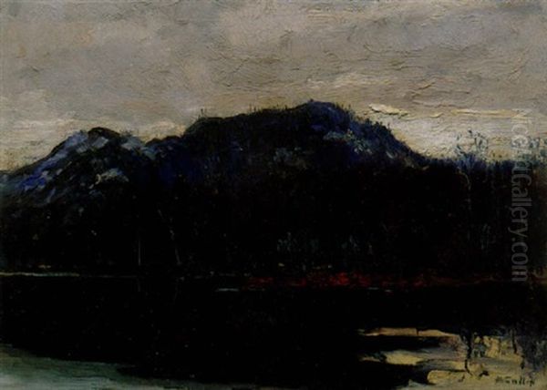 The Palisades From The Cache River Oil Painting by Maurice Galbraith Cullen