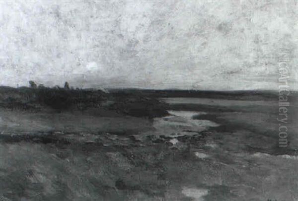 Gaspe Marshes Oil Painting by Maurice Galbraith Cullen