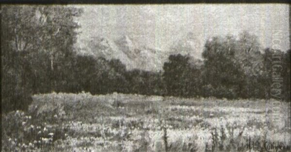 Western Landscape With Snow-covered Peaks, Meadow At The Foreground Oil Painting by Henry Lavender Adolphus Culmer