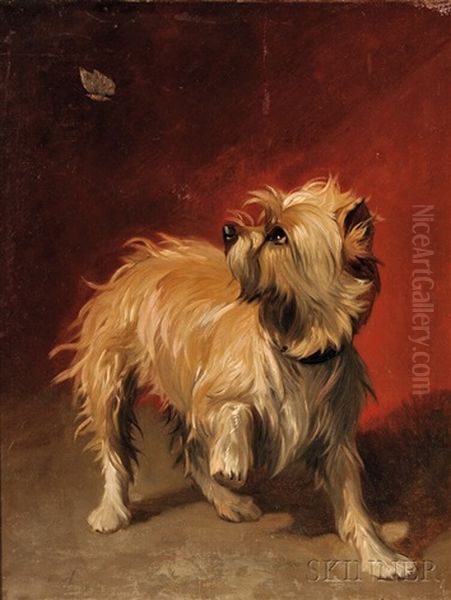 Terrier With Butterfly Oil Painting by Conradyn Cunaeus