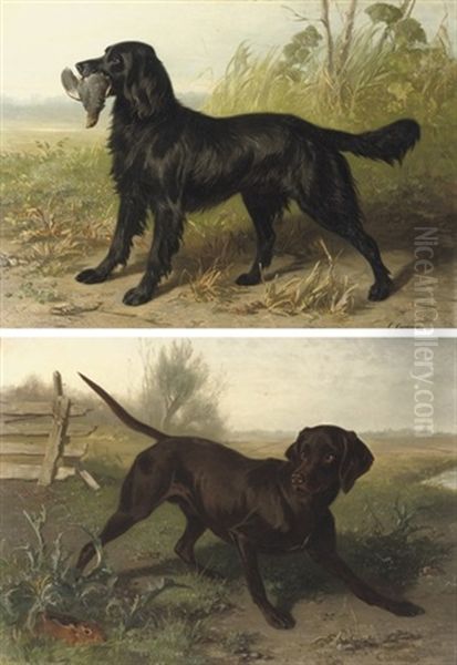 A Black Setter With It's Prey (+ A Black Labrador; Pair) Oil Painting by Conradyn Cunaeus