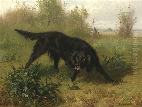 Auf Der Hatz - Schwarzer Setter Einen Hasen Witternd Oil Painting by Conradyn Cunaeus