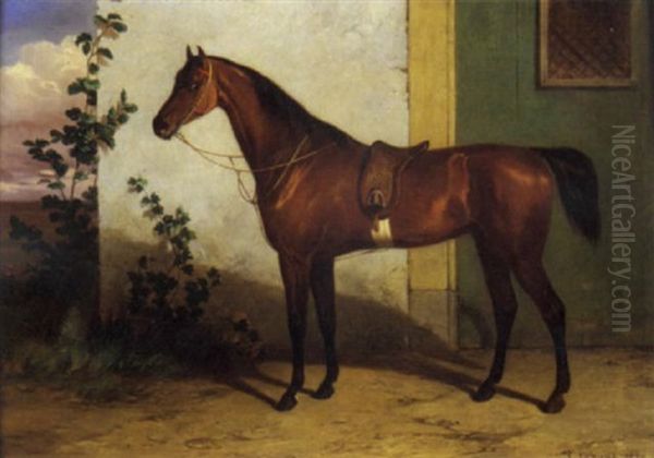 Cavallo Sellato Oil Painting by Conradyn Cunaeus