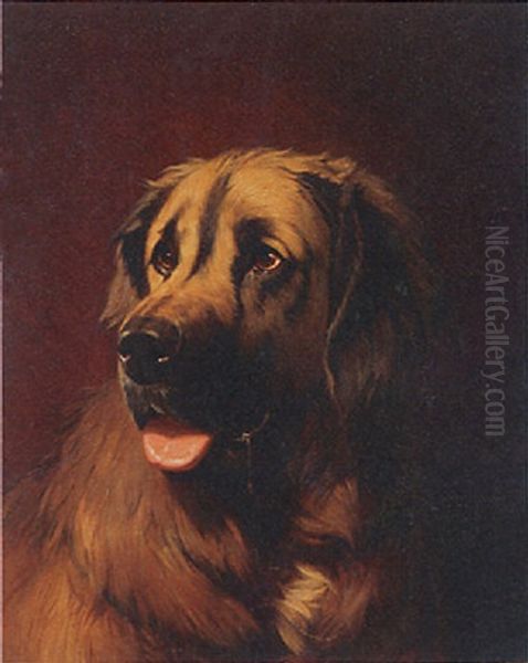 Leonberger Oil Painting by Conradyn Cunaeus