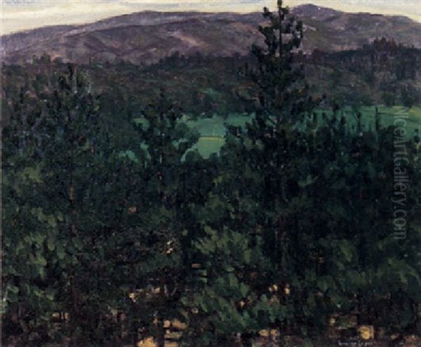 A Valley Viewed Through Trees Oil Painting by Rinaldo Cuneo