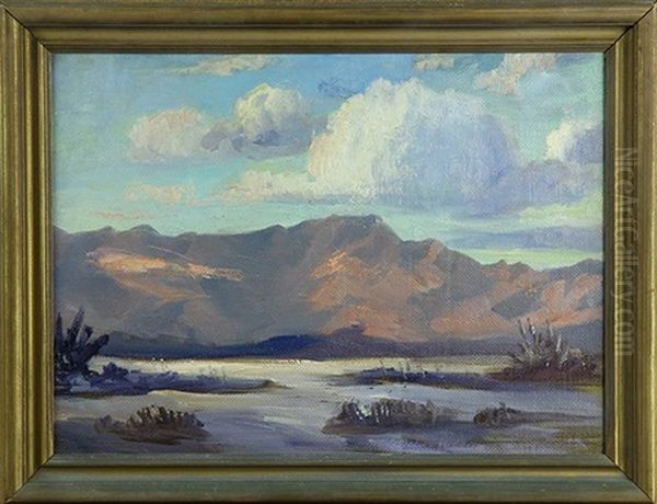 Evening Cloud Shadows On The Desert Oil Painting by Frank William Cuprien