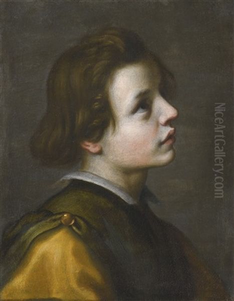 Head Of A Youth Oil Painting by Francesco Curradi