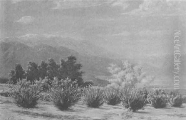 Desert Spring, Coachella Valley Oil Painting by Cyrus Bates Currier