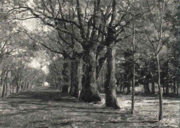 Blick In Eine Allee Oil Painting by Robert Franz Curry