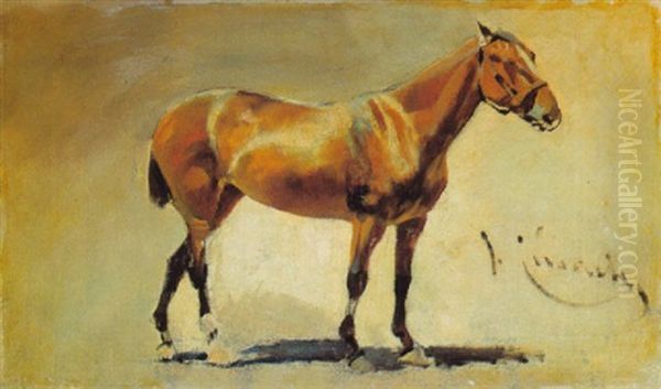 Caballo Oil Painting by Josep (Jose) Cusachs y Cusachs