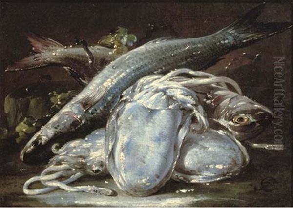 Squid And Fish On A Ledge Oil Painting by Gaetano Cusati