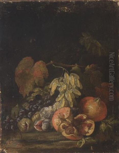 Natura Morta Di Melograni, Fichi E Uva Oil Painting by Gaetano Cusati