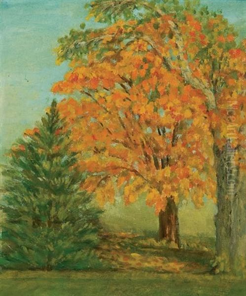 Autumn Maple Oil Painting by Gertrude E. Spurr Cutts