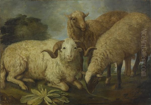 A Ram And Two Sheep Resting In A Landscape Oil Painting by Jacob Gerritsz Cuyp