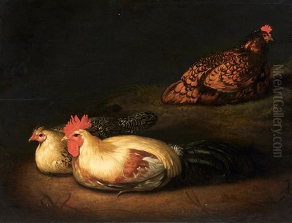 Les Poules Oil Painting by Jacob Gerritsz Cuyp