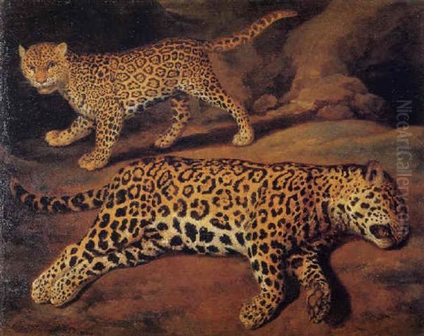 Two Jaguars Oil Painting by Jacob Gerritsz Cuyp