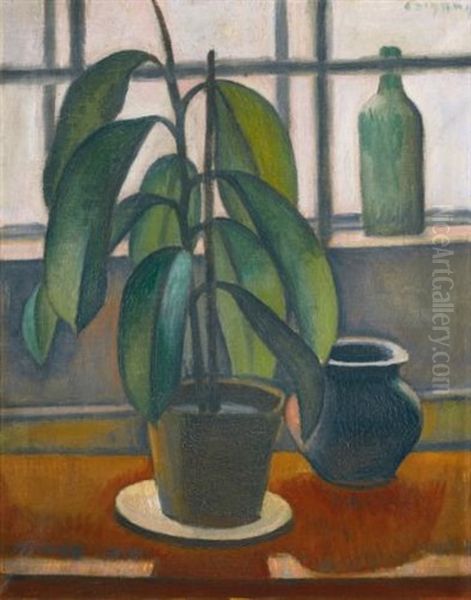 A Rubber Plant On A Window Ledge Oil Painting by Dezsoe Czigany