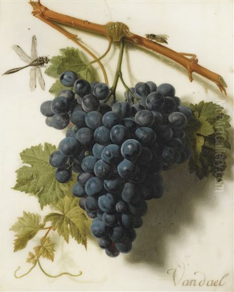 Grappe De Raisins Oil Painting by Jan Frans Van Dael