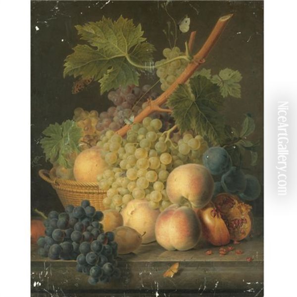 Still Life With Grapes And Peaches In A Basket, An Open Pomegranate, Plums, Black Grapes And More Peaches On The Marble Ledge Beneath Oil Painting by Jan Frans Van Dael