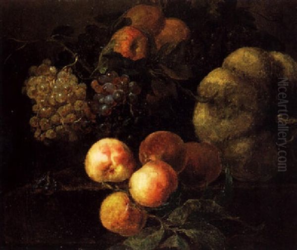 Bodegon De Frutas Oil Painting by Jan Frans Van Dael