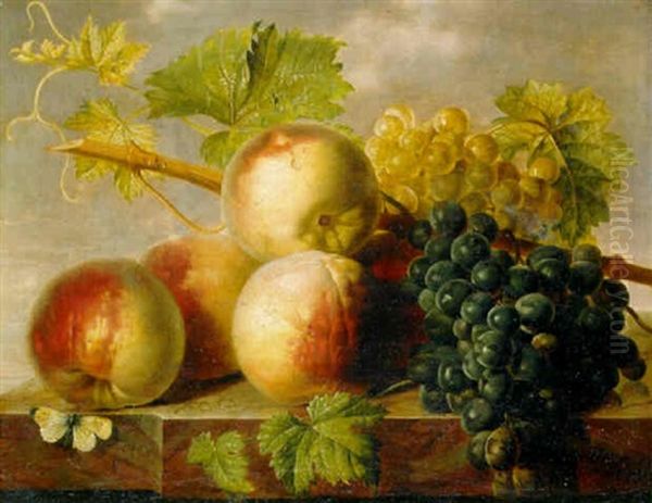 Peaches And Grapes With Cabbage White On A Marble Ledge by Jan Frans Van Dael