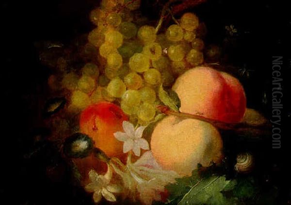 Still Life Of Grapes, Peaches, Flowers And A Snail Oil Painting by Jan Frans Van Dael