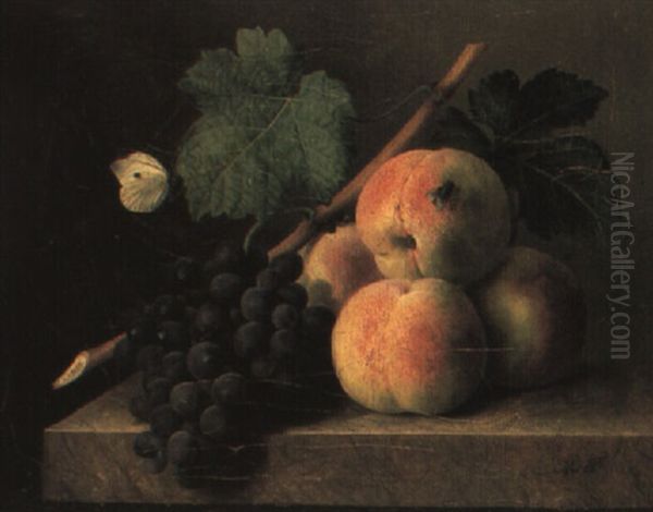 Nature Morte A La Grappe De Raisin Et Aux Peches Sur Un Entablement Oil Painting by Jan Frans Van Dael