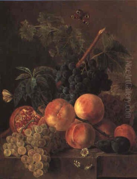 Still Life With Grapes, Other Fruit And Flowers On A Stone Ledge Oil Painting by Jan Frans Van Dael