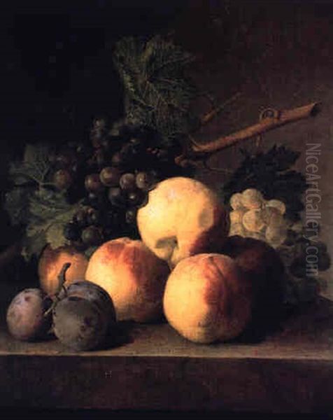 Peches, Prunes Et Raisins Sur Un Entablement De Marbre Oil Painting by Jan Frans Van Dael