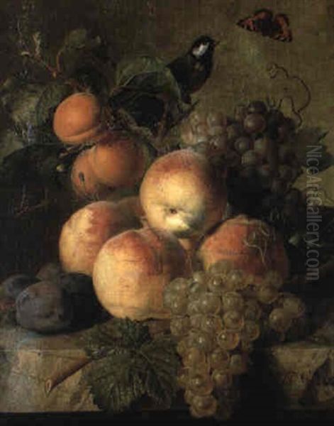 Raisins, Peches Et Prunes Sur Un Entablement De Marbre Oil Painting by Jan Frans Van Dael