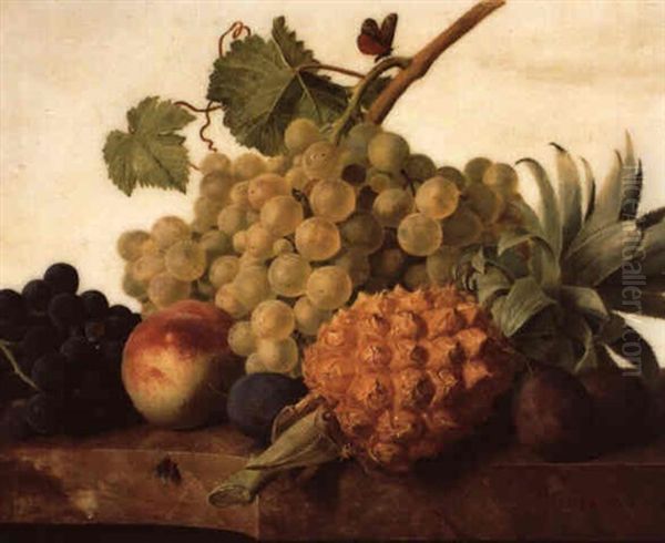 Ananas, Peches Et Raisins Sur Un Entablement De Marbre Oil Painting by Jan Frans Van Dael