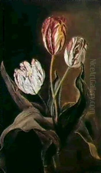 Etude De Trois Tulipes Oil Painting by Jan Frans Van Dael