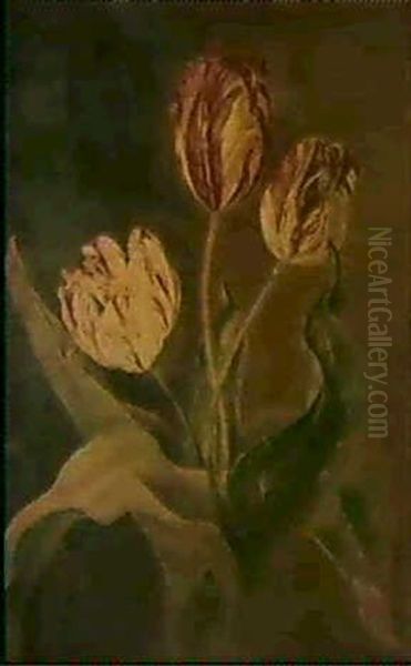 Trois Tulipes Coupees Oil Painting by Jan Frans Van Dael