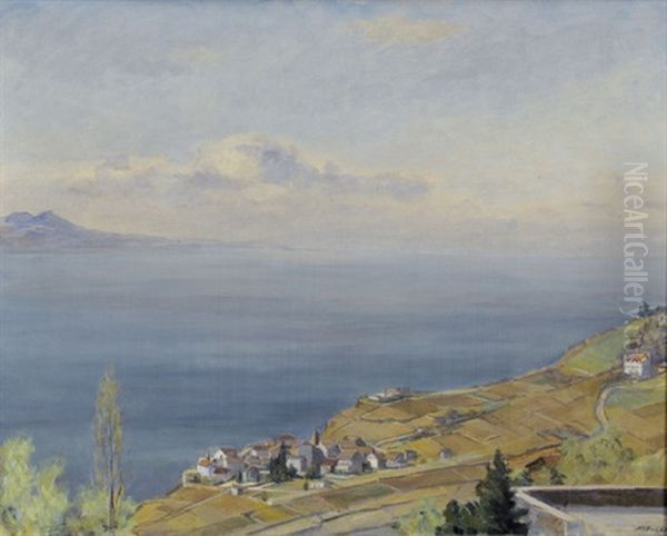 Genfersee Mit Rivaz Oil Painting by Hans Arnold Daepp