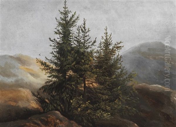 Pine Trees On A Mountaintop Oil Painting by Johan Christian Dahl