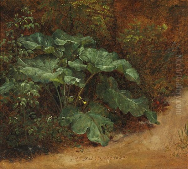 A Broad-leaved Dock (skraeppeplante) In The Forest Floor Oil Painting by Johan Christian Dahl