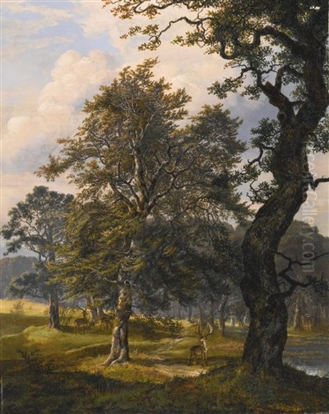 Dyrehaven Near Copenhagen Oil Painting by Johan Christian Dahl