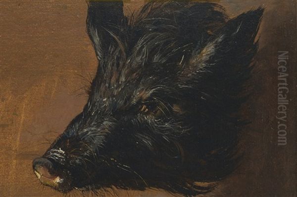 Head Of A Boar Oil Painting by Johan Christian Dahl