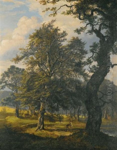 Dyrehaven Near Copenhagen Oil Painting by Johan Christian Dahl