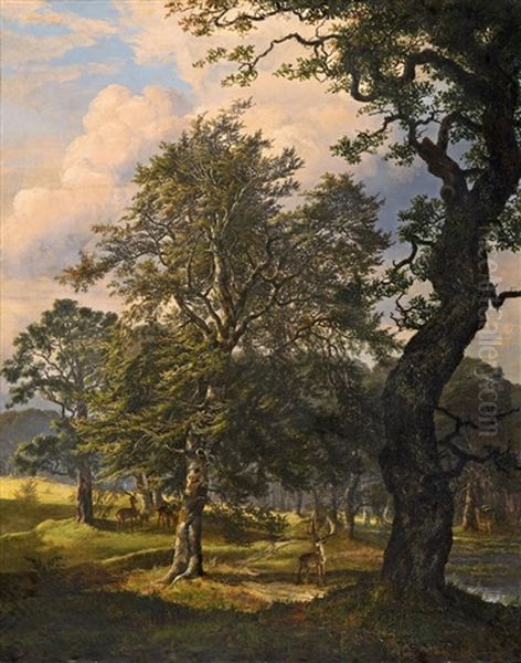 Der Hirschpark Dyrehaven Bei Kopenhagen by Johan Christian Dahl