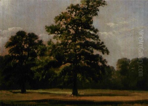 Fra Parken I Worlitz Oil Painting by Johan Christian Dahl