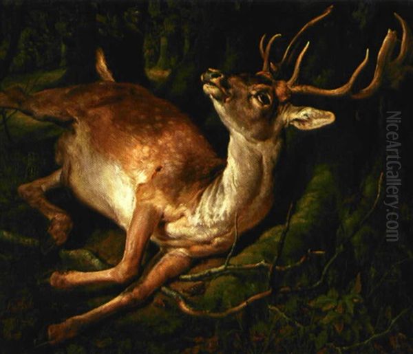 Saret Dahjort I Skovbunden Oil Painting by Siegwald Johannes Dahl