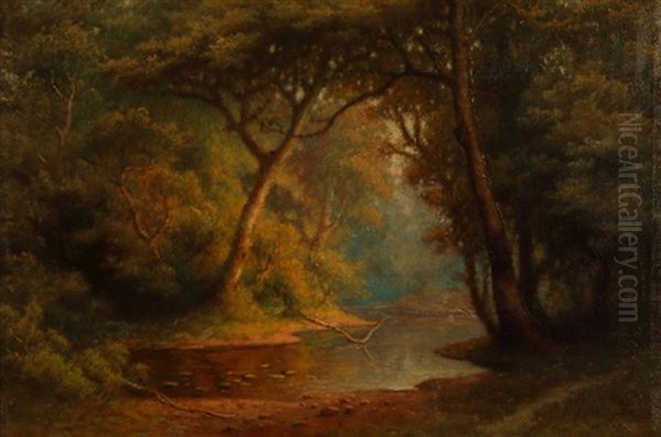 Pond In A Forested Interior Oil Painting by Carl Christian Dahlgren